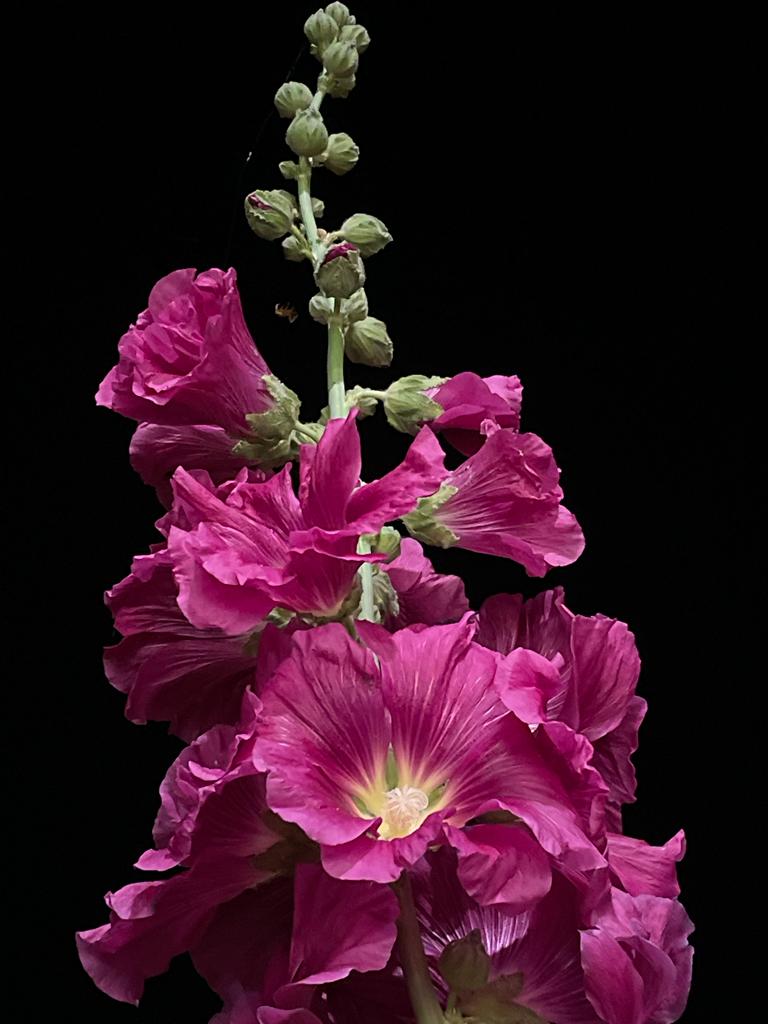 This image has an empty alt attribute; its file name is IMG-20240303-WA0152.jpg