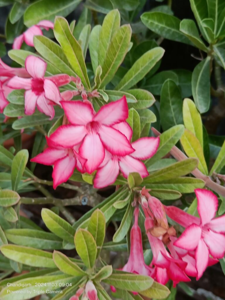 This image has an empty alt attribute; its file name is 349b6ad8-8b88-4a36-a0e9-65465430e9c8-768x1024.jpg